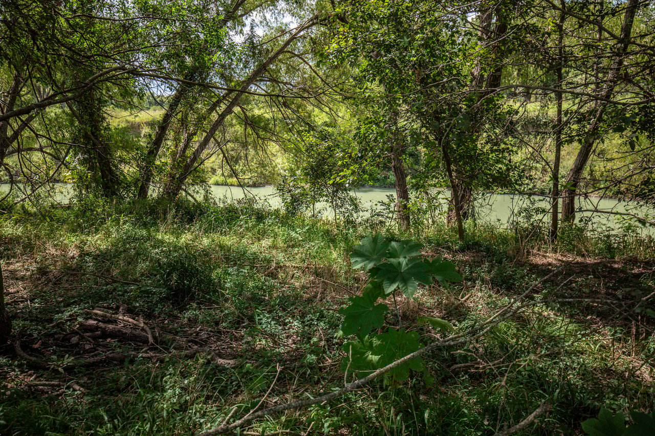 Lovers Lane River Ranch | 140± Acres | DeWitt County