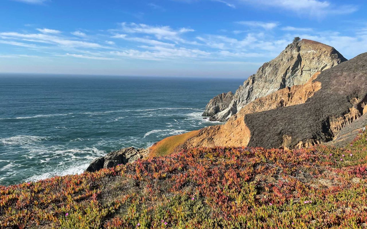 Pacifica 