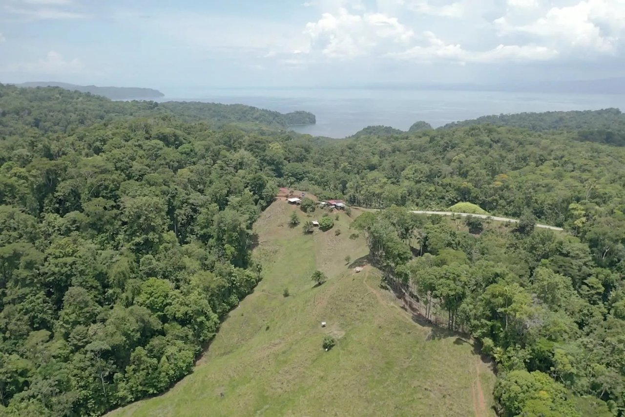 Expansive Ocean View Development Land, Osa, Puntarenas