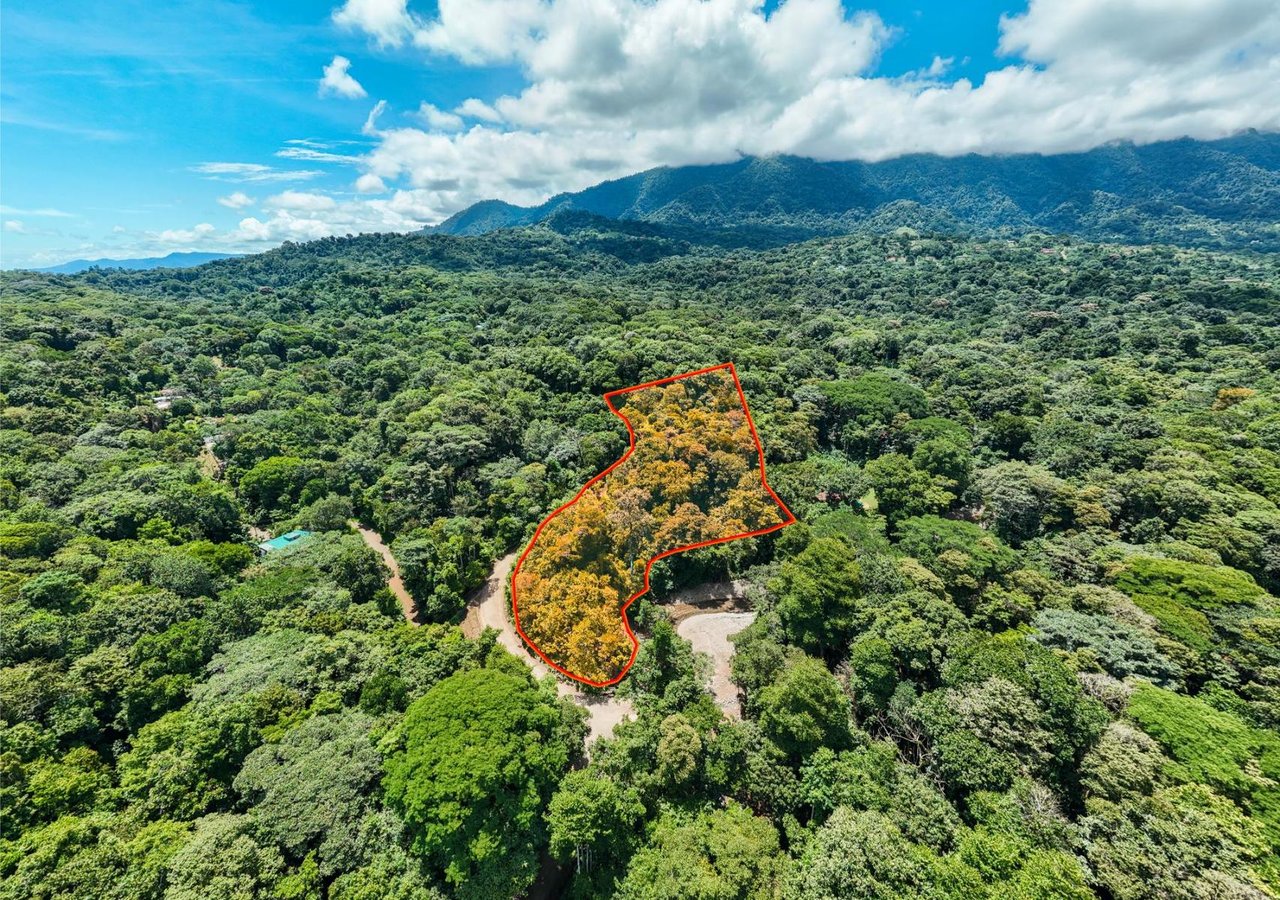 Riverfront Development Land, Ojochal, Puntarenas
