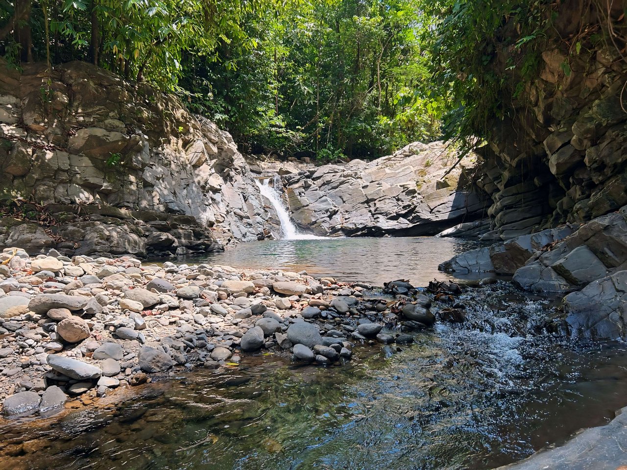 Finca Cerro del Tigre!   Over 20 Acres of Primary Forest and  Waterfalls. 