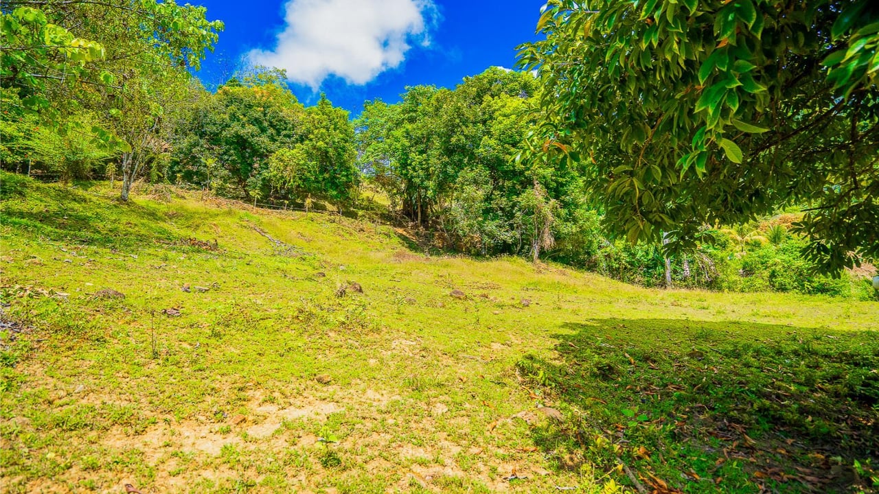 Prime Forest View Lot, Ojochal, Puntarenas
