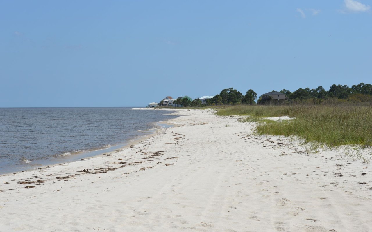 Forgotten Coast