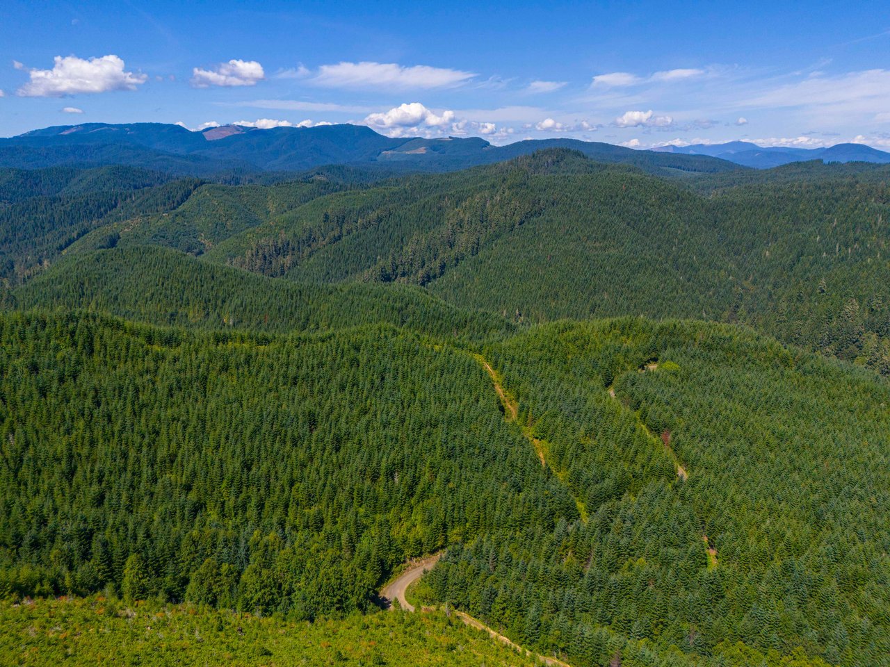 High Pass Tree Farm