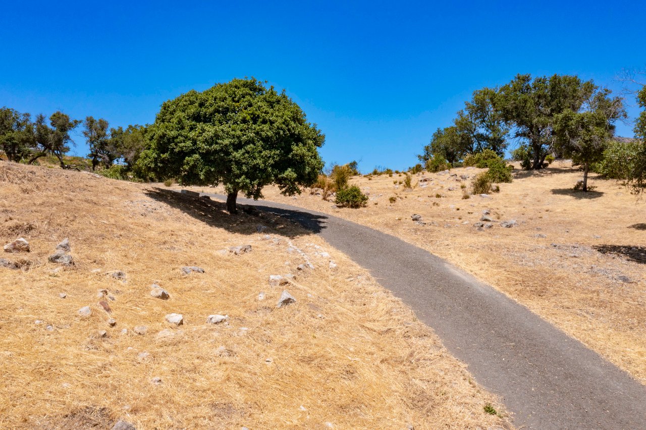 Loma Vista Dr, Napa