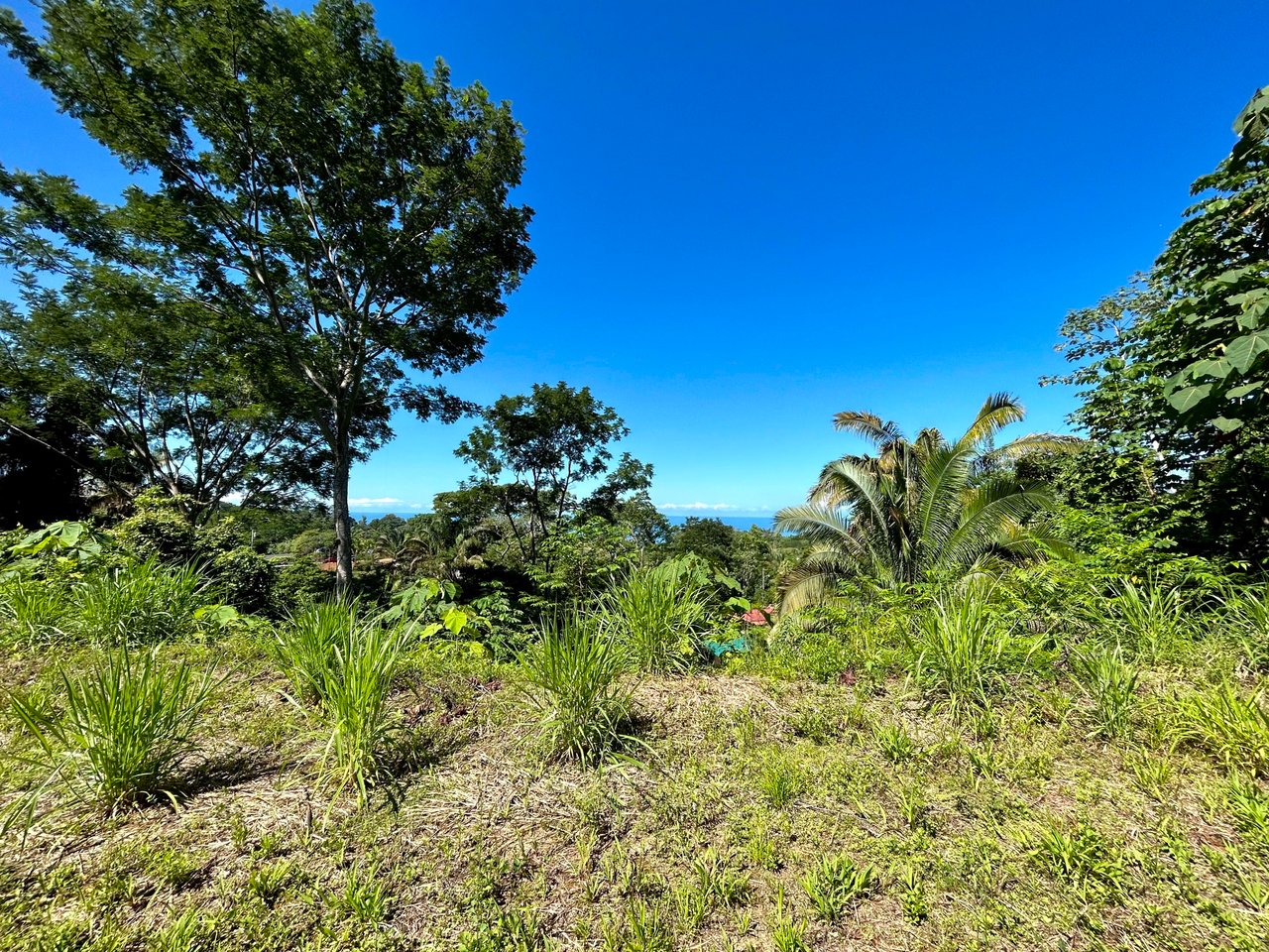 Ocean View Property in Playa Hermosa, Over 1.75 Acres