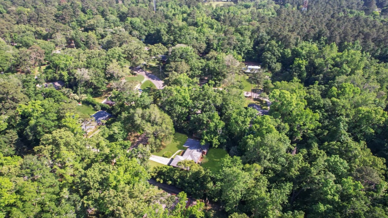 Another view of Linene Woods, focusing on the natural surroundings and the integration of houses within the wooded landscape.