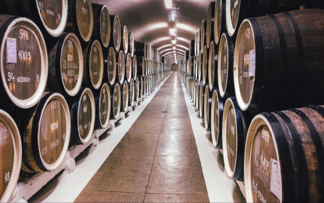 8 Best Wineries in and Near San Diego