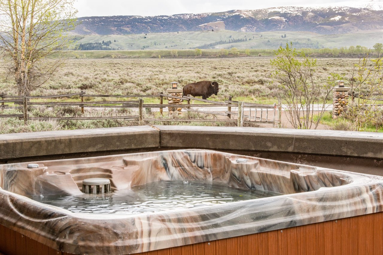Scene of backyard spa with Bison in background