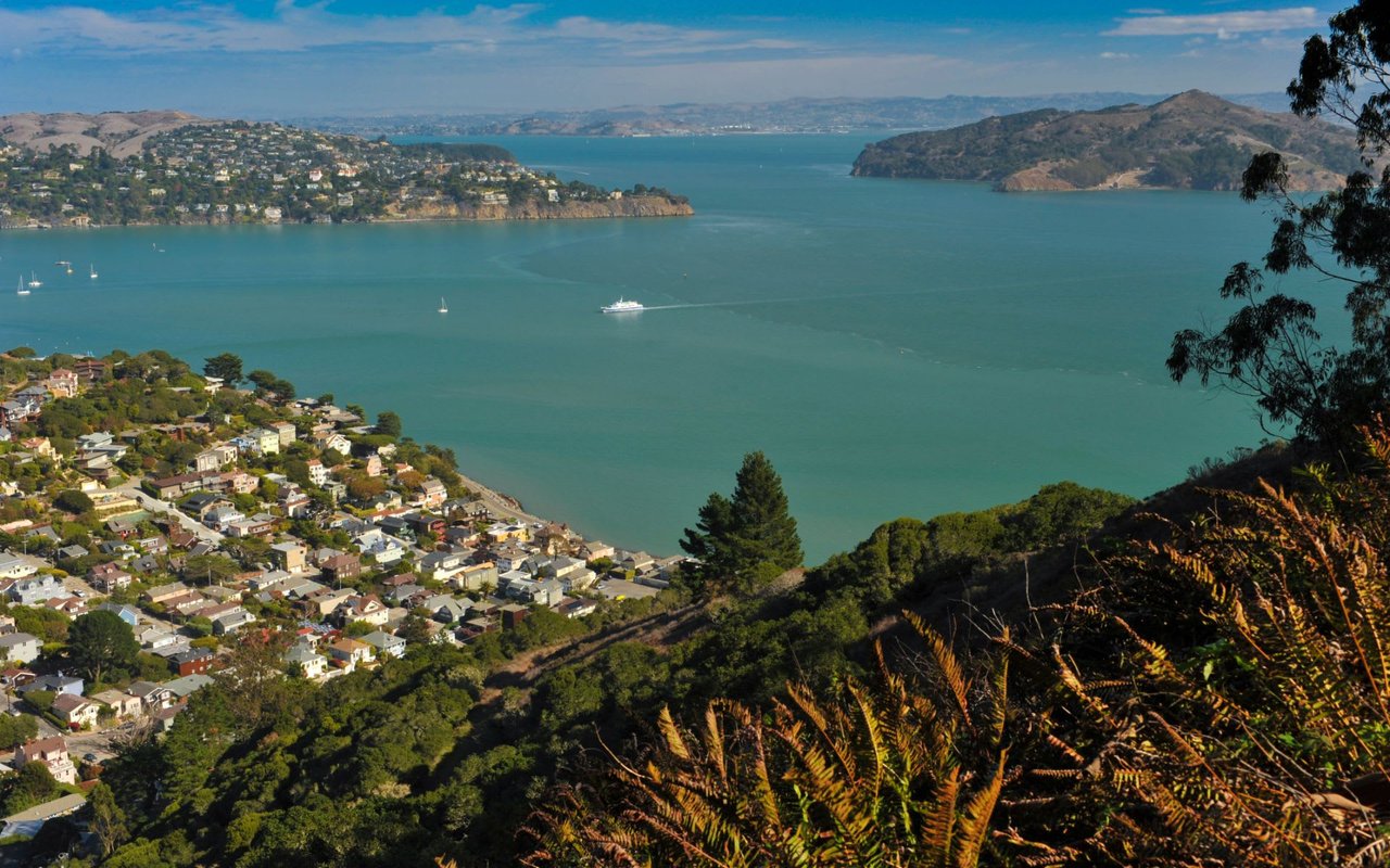 A coastal town with houses on a hillside overlooking a bay.