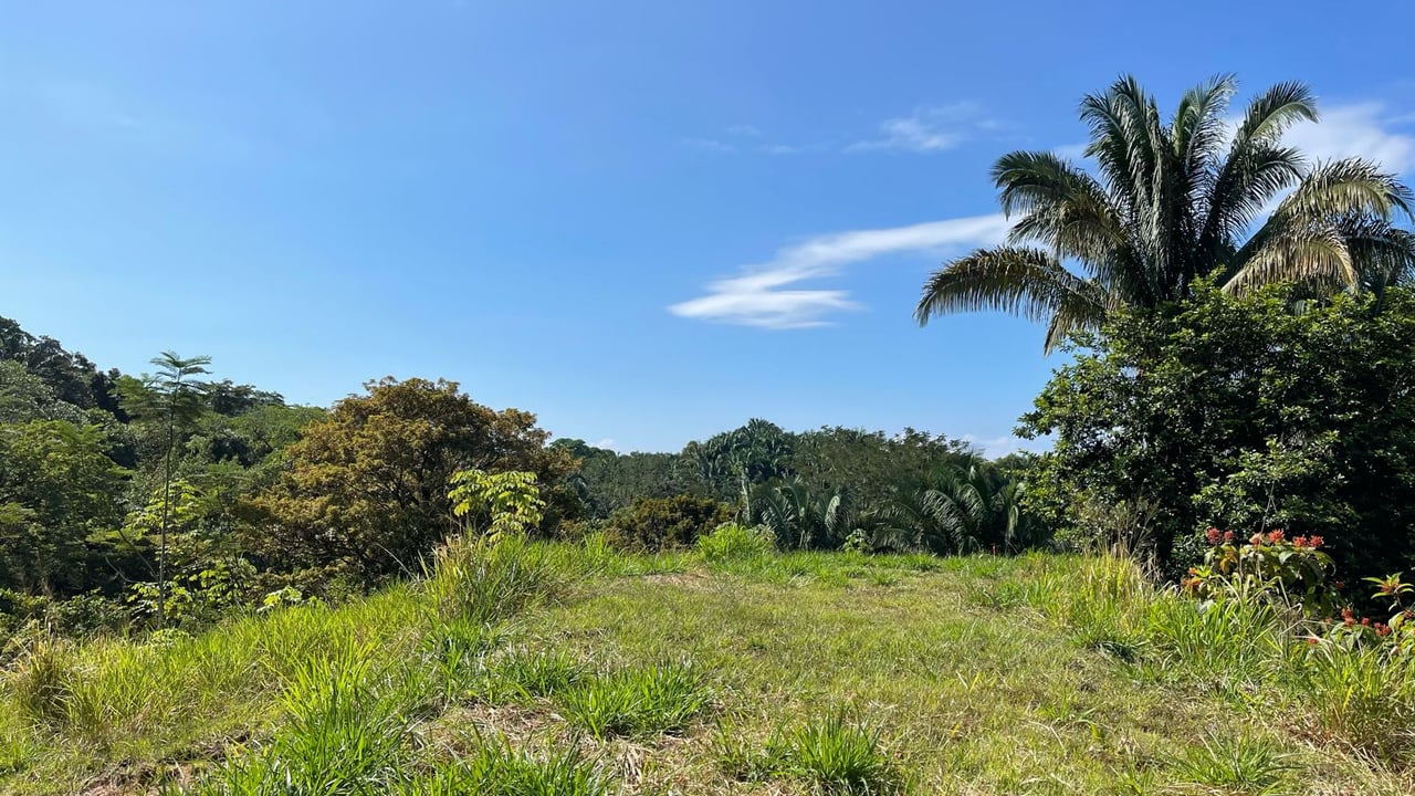  Exclusive Hermosa 1.2 Acre Lot with Panoramic Mountains and Ocean View. 