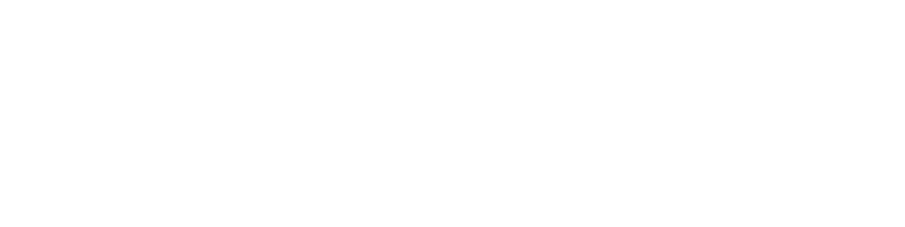 Light Logo