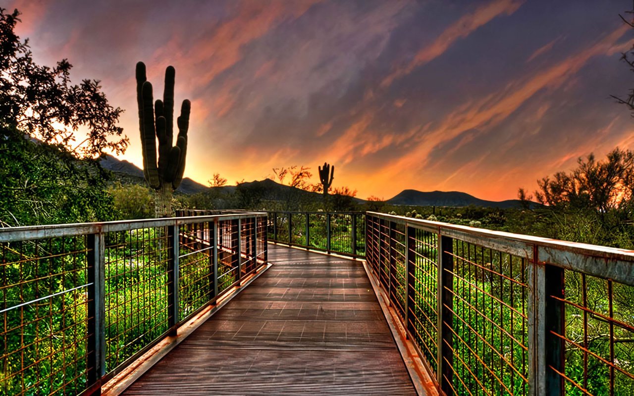 A Guide to North Scottsdale, AZ Parks