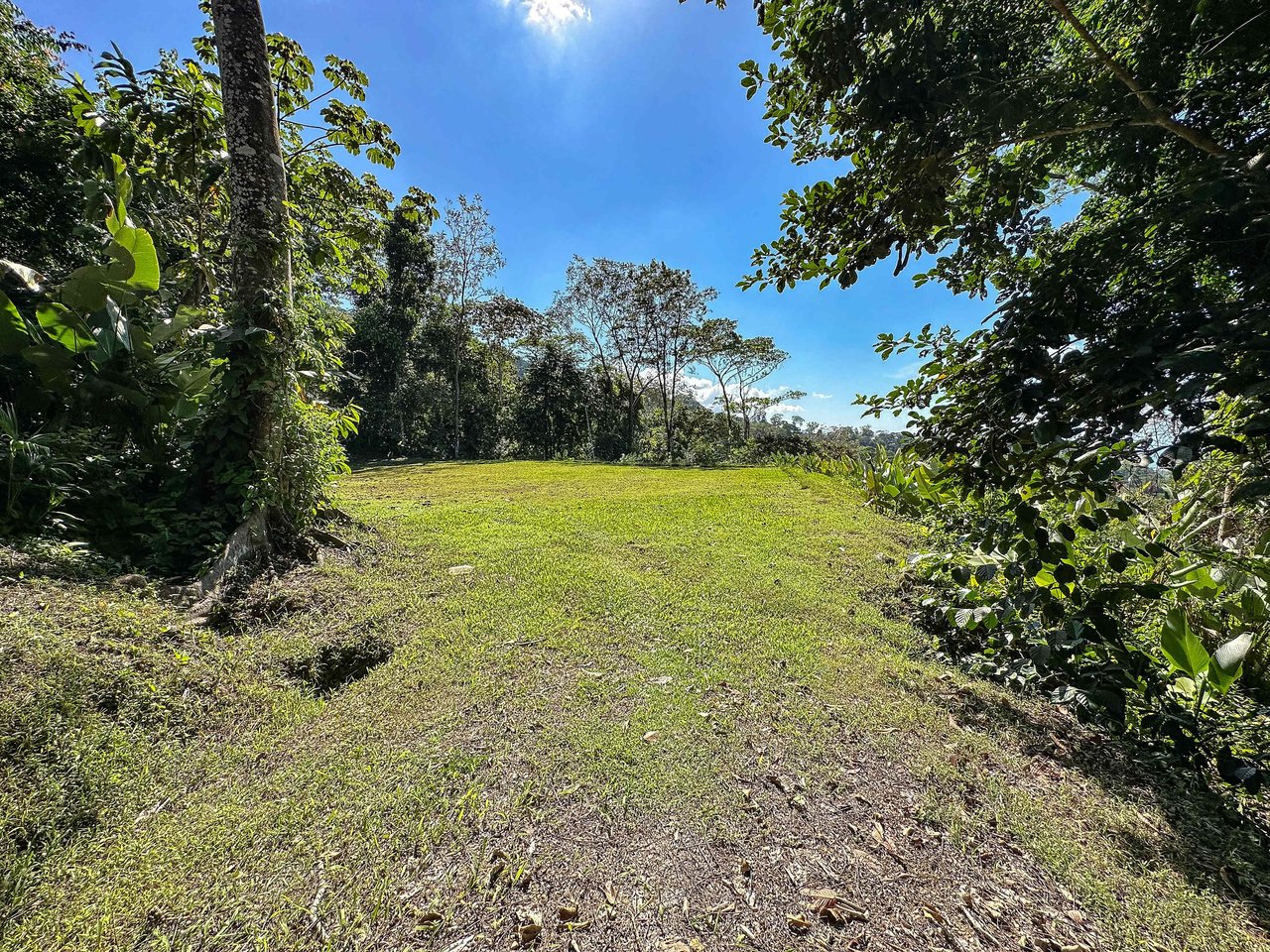 A prepared, 1.5 Acres jungle immersed lot with spectacular views of the Whale’s Tail. 