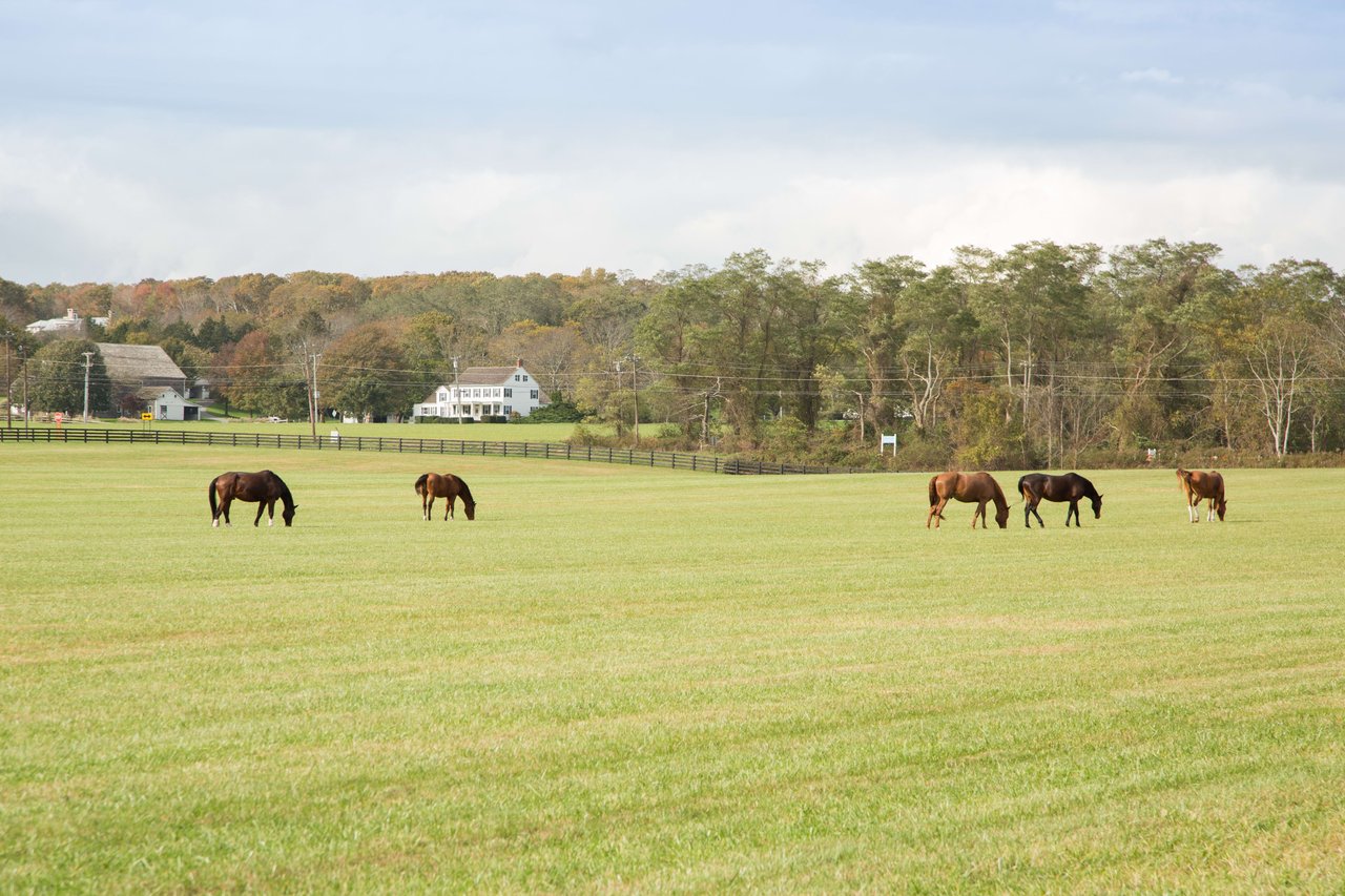 Bridgehampton