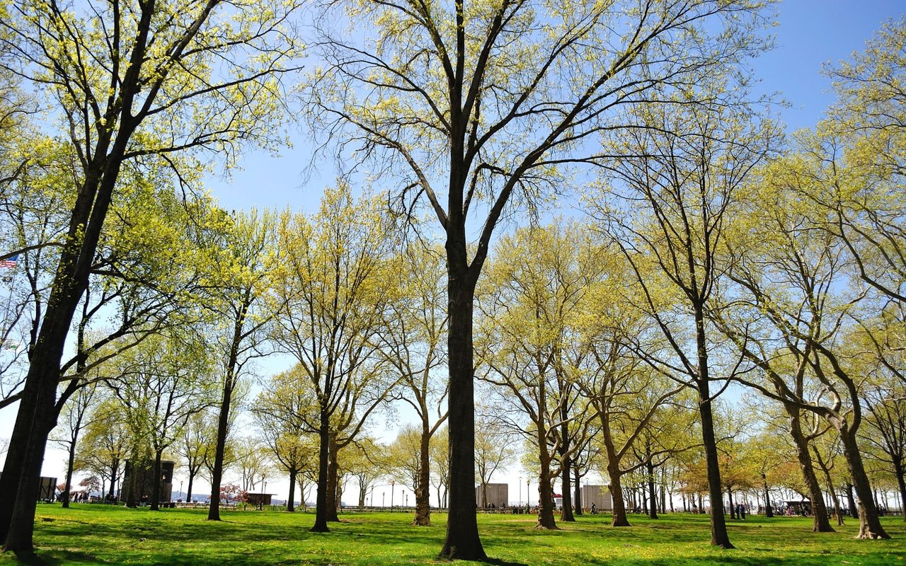 Battery Park / Financial District