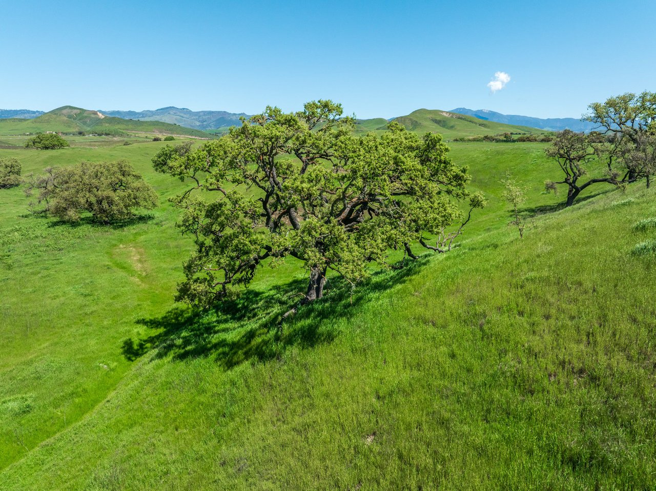 105+/- Magical Acres in Happy Canyon