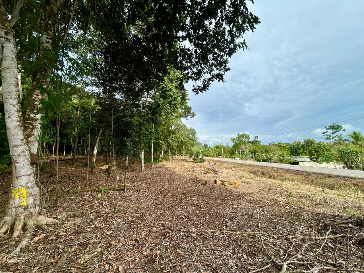 Flat Commercial Development Lot, Osa, Puntarenas