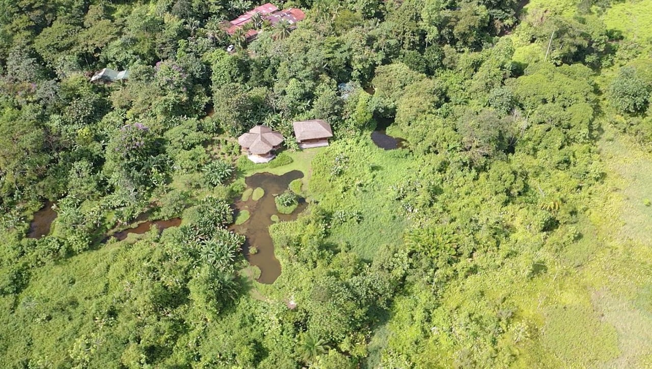 Sustainable Conservation Retreat, Osa, Puntarenas