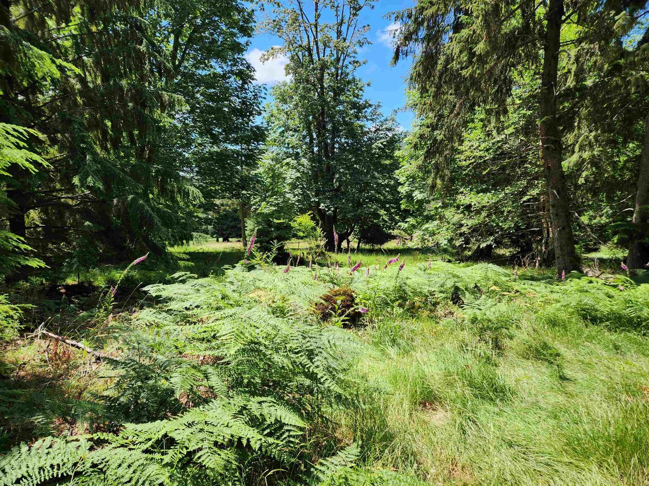 LOT 4 Brigade Bay