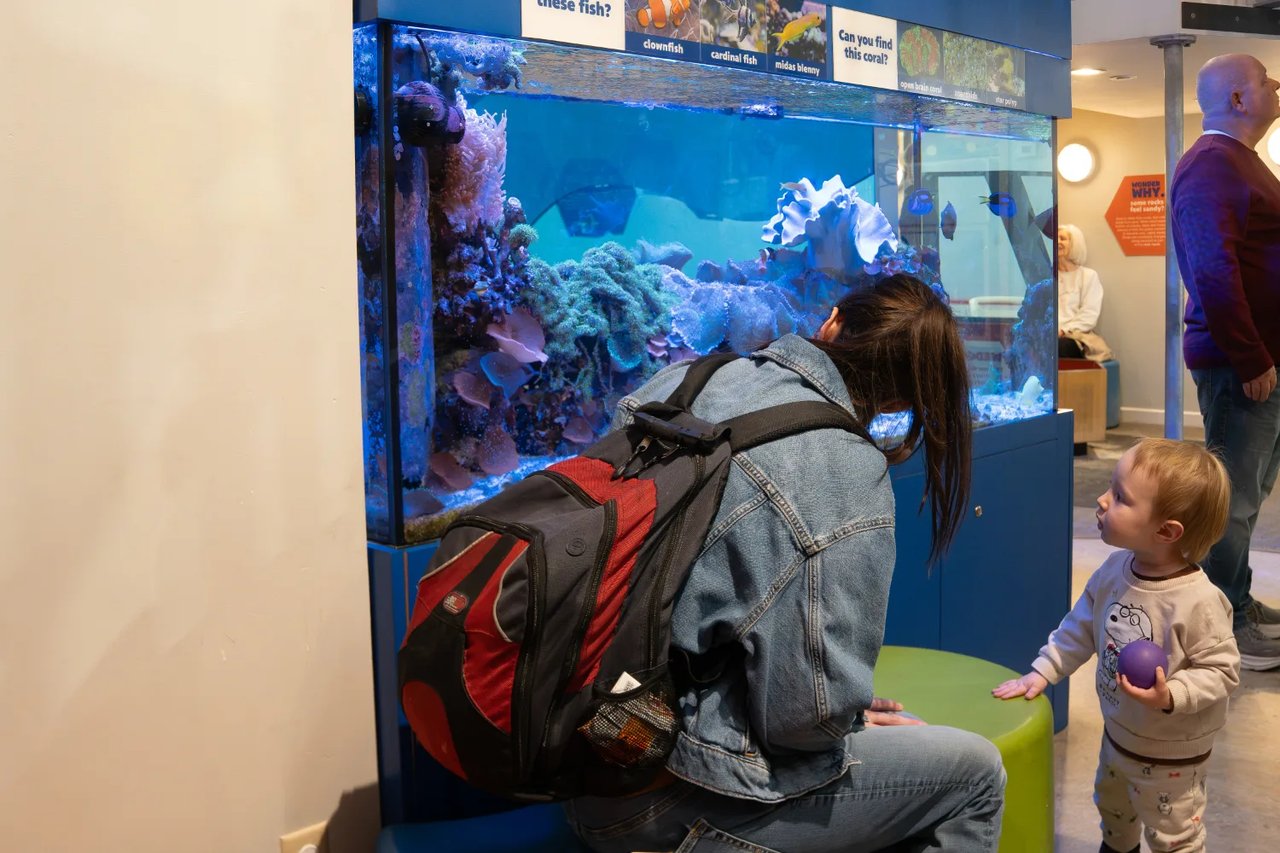 Photos: St. Louis Family Playdate at The Magic House