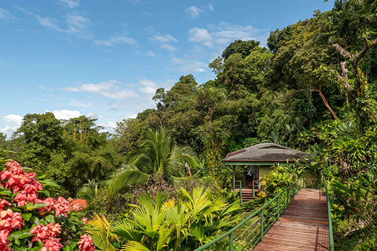 Boutique Rainforest Ocean Resort, Manuel Antonio, Puntarenas