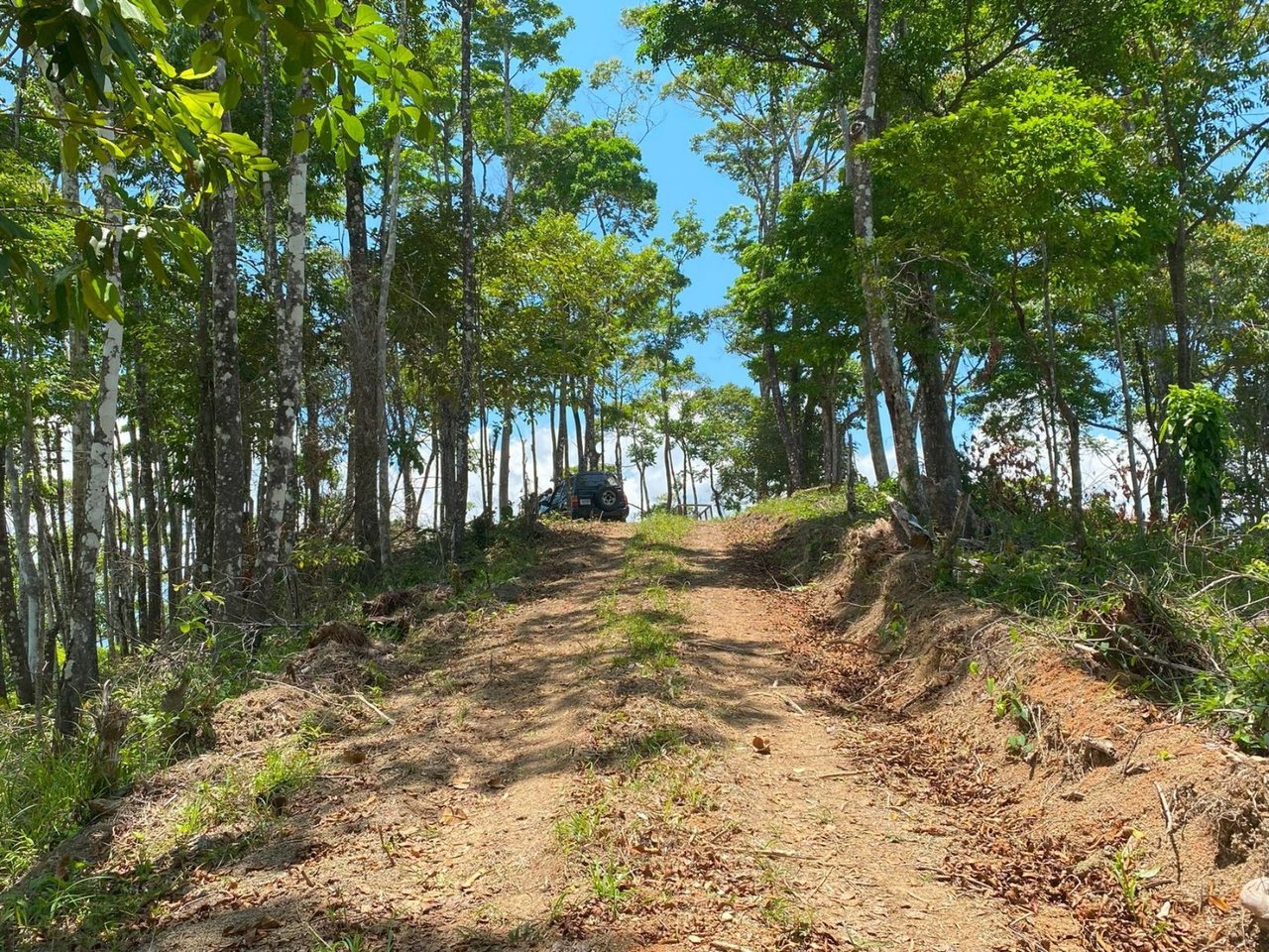 Mountain River View Farm, Osa, Puntarenas