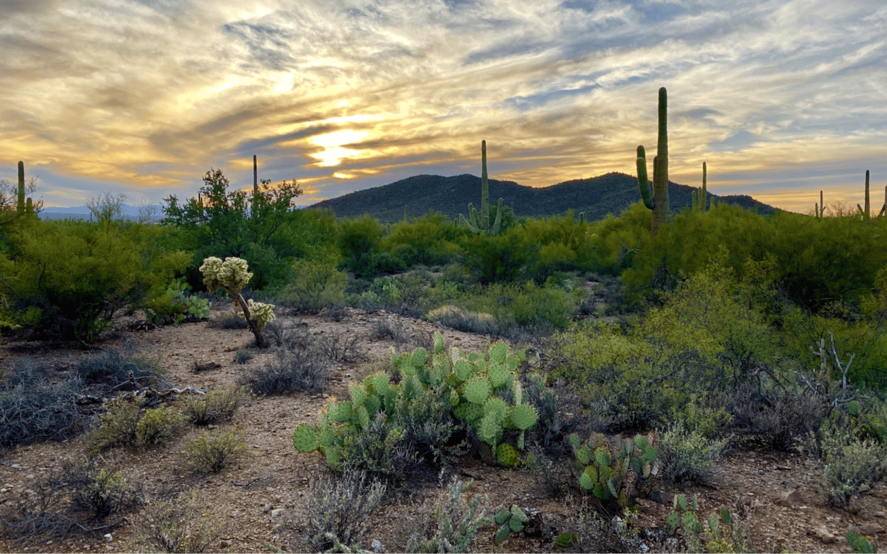 What to Love About Luxury Living in Tucson