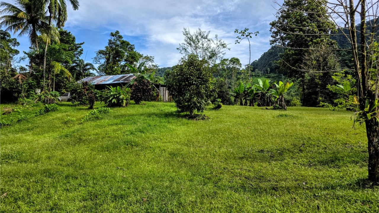 Rainforest Waterfall Acreage Estate, Dominical, Puntarenas