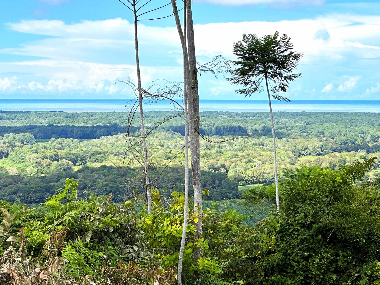 2 Acres Property with 360 Panoramic Views!