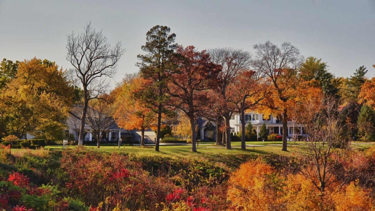 Grandview Heights