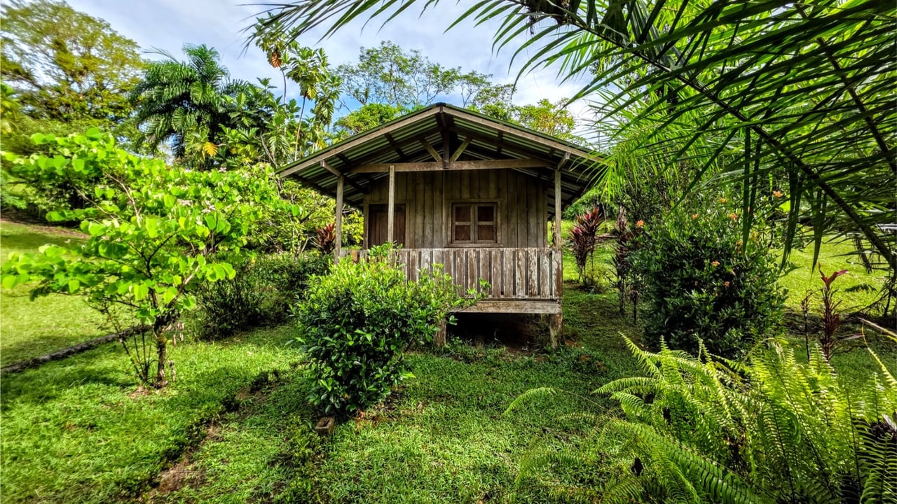 Rainforest Waterfall Acreage Estate, Dominical, Puntarenas