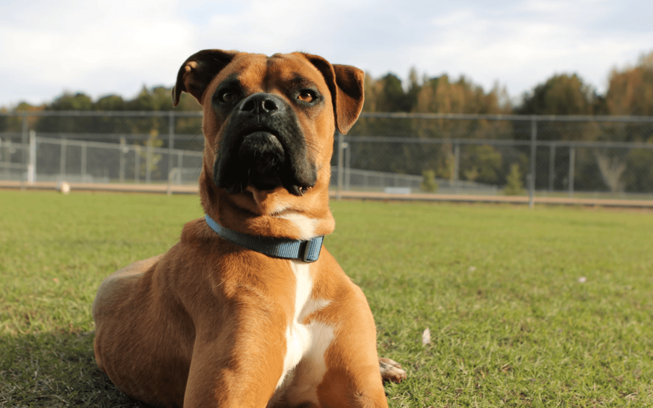 7 Neighborhood Amenities That Increase Home Value