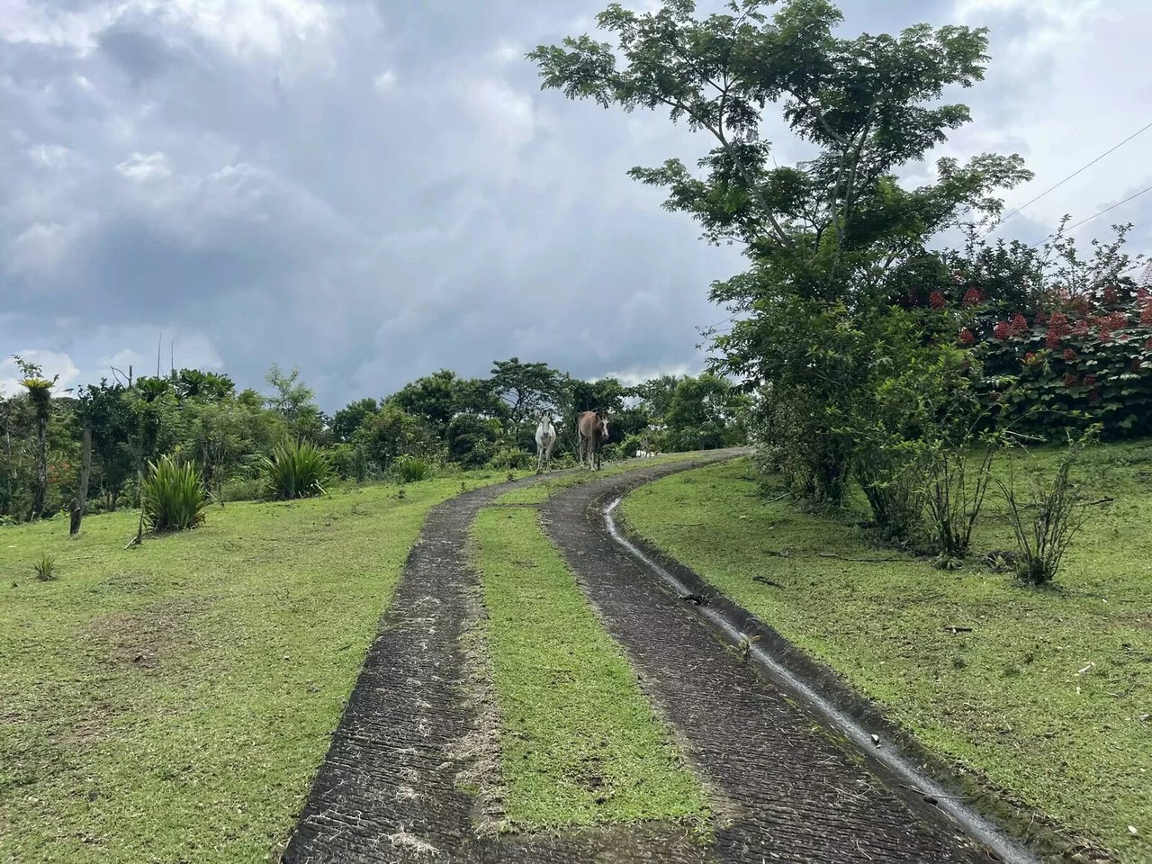 Adventure Tourism Development Land, Lake Arenal, Alajuela