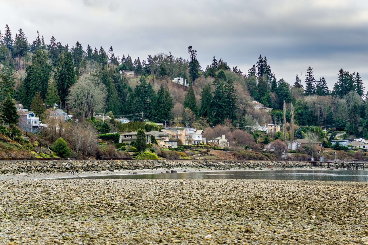 A coastal scene with a rocky beach in the foreground and a hillside dotted with houses and trees in the background