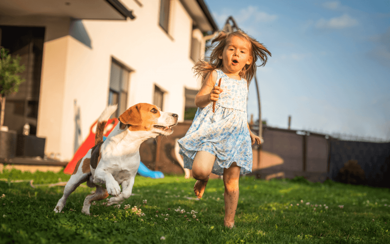 How to Dog-proof Your Backyard