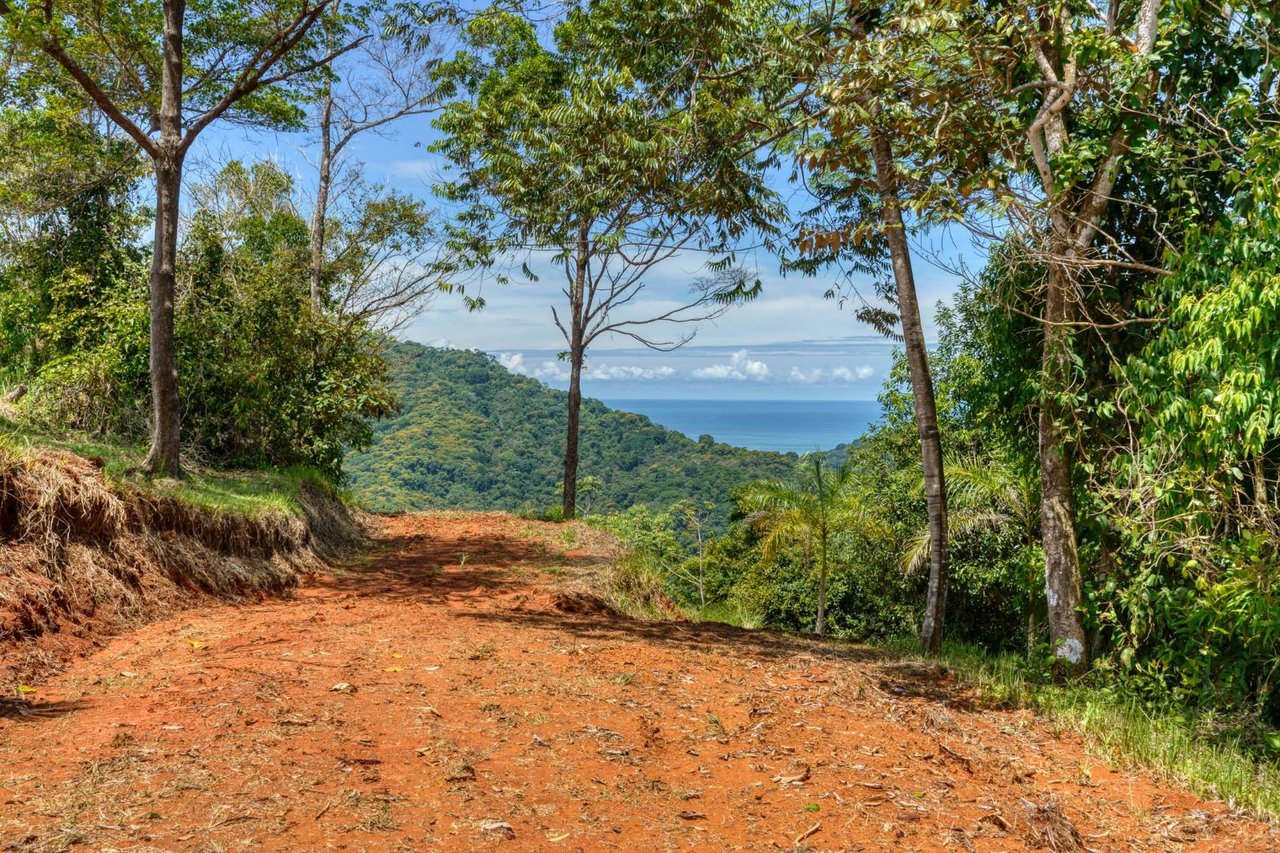 Waterfall Ocean View Land, Dominical, Puntarenas