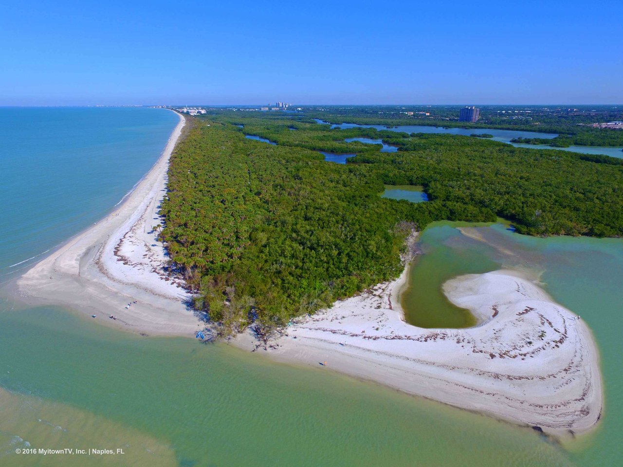 Exploring Barefoot Beach Preserve