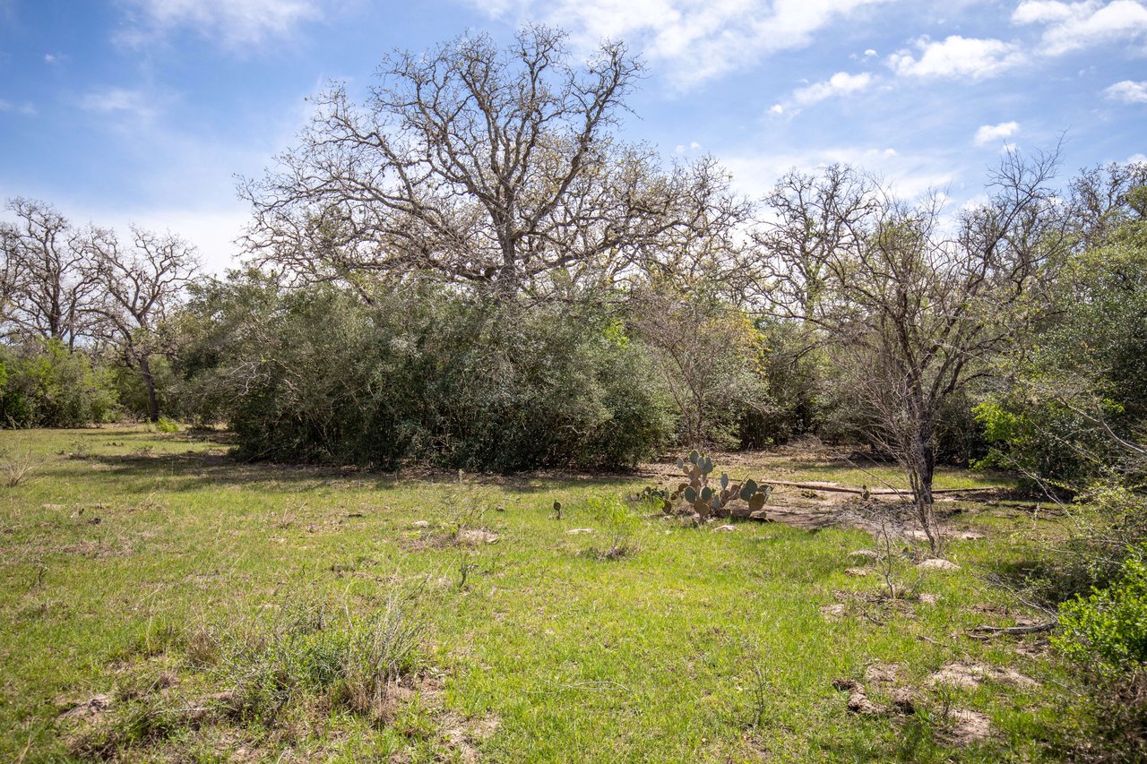 Weesatche 110 Acres