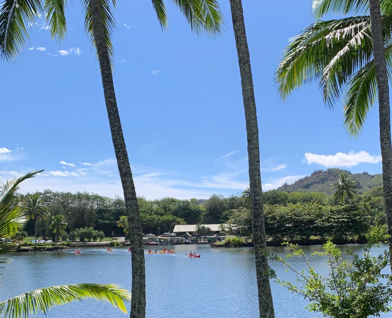 DLNR Stops Wailua River Kayak Tour Operations on Saturdays  