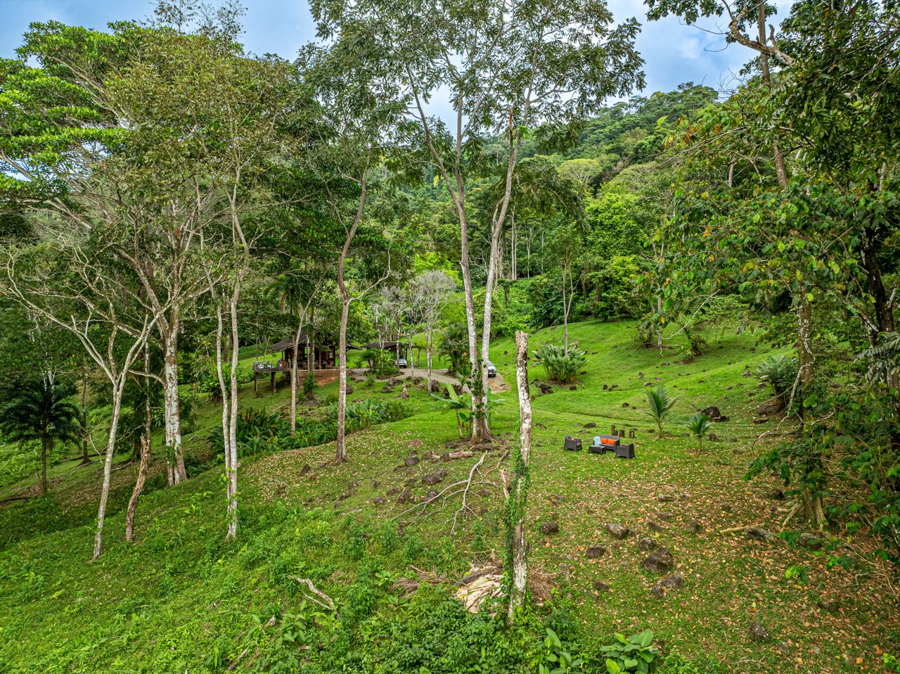 Embrace Harmony in Nature on 12 Acres of Mountain and Ocean view Serenity