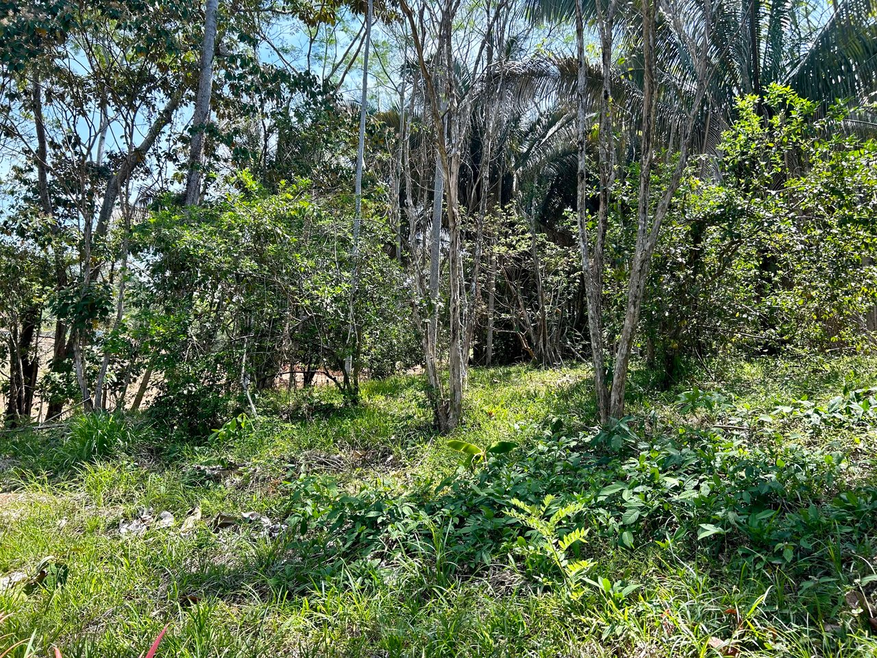 Great Location Land Parcel in Playa Hermosa