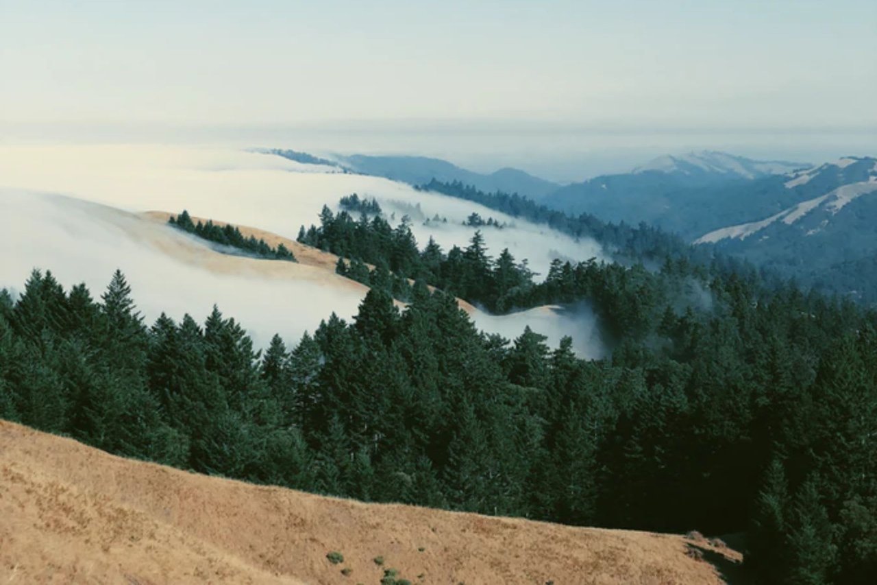 Which Marin County Neighborhood is Right For You?