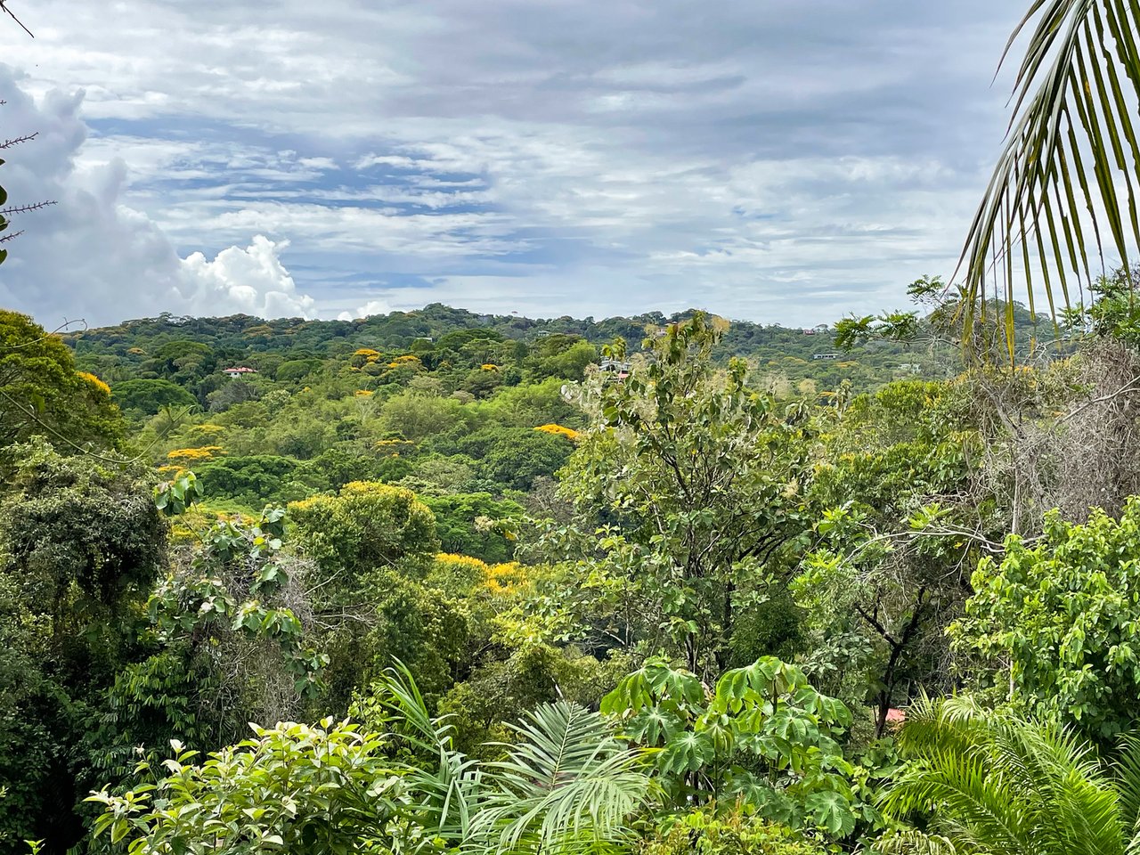 Ocean View Home With Expansion Sites, Ojochal, Puntarenas