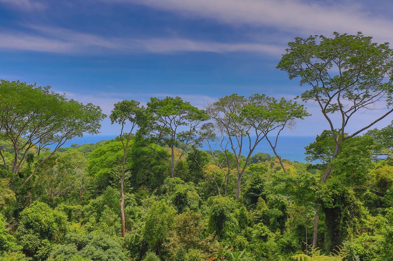 Rainforest Estate with Guest House, Dominical, Puntarenas