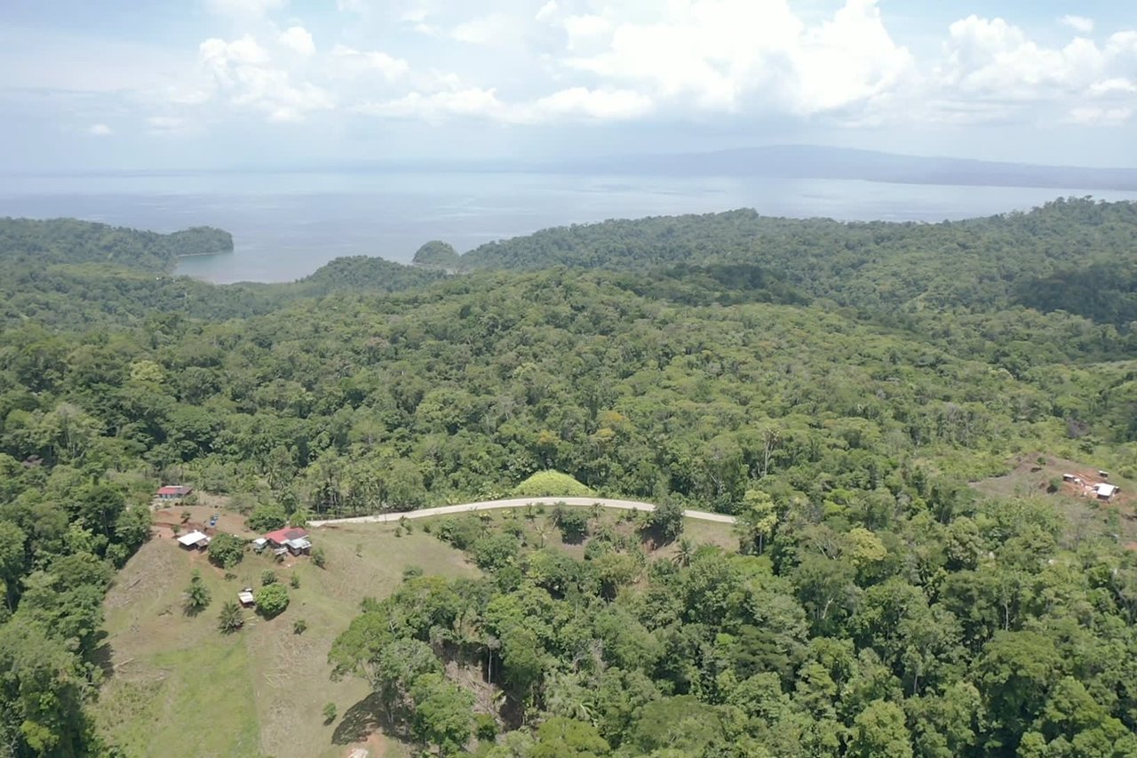 Osa Peninsula Los Mogos Magic Golfo Dulce Views 71 Acres