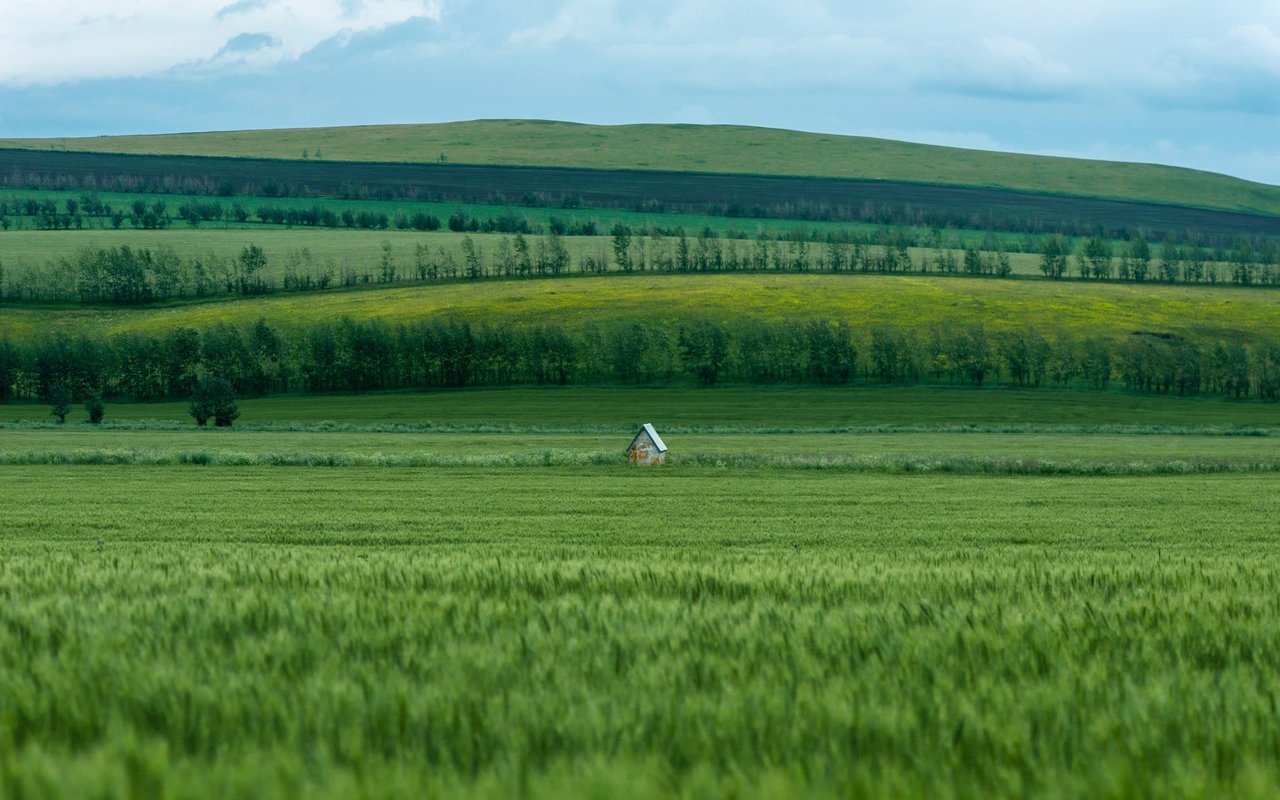 Essential Tips for Buying Farmland