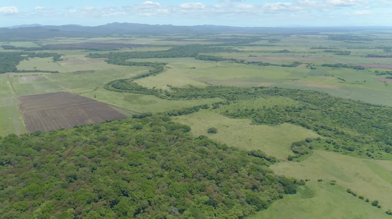 Strategic Cattle Ranch Development, Tamarindo, Guanacaste