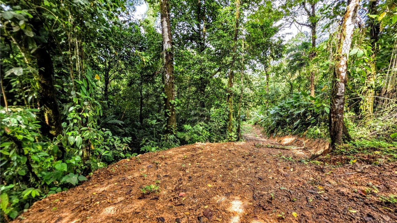 Rainforest Waterfall Acreage Estate, Dominical, Puntarenas