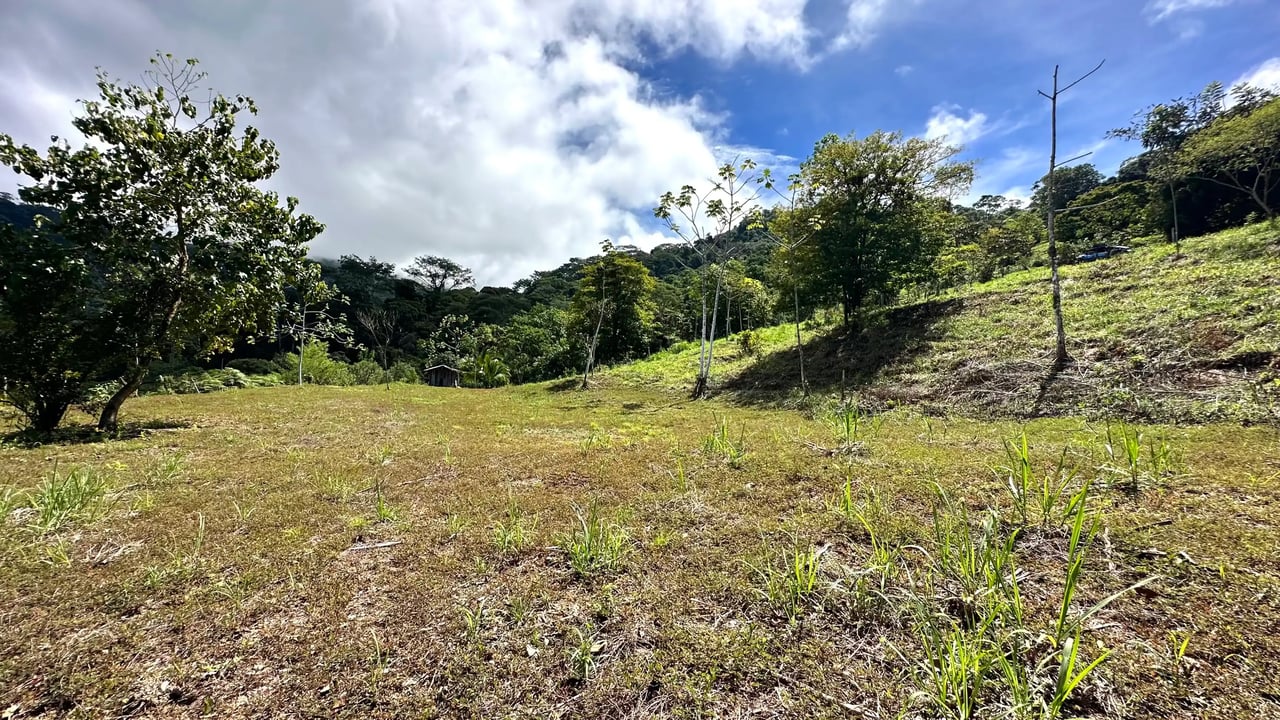 San Josecito Farm Above Uvita, 4 Acres, Creek and Usable Land